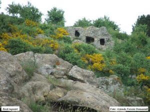 Riserva Naturale Orientata Monte Altesina