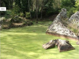 Riserva Naturale Orientata Sambughetti Campanito