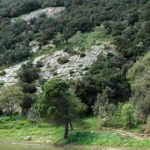 Riserva Naturale Orientata Monte Altesina